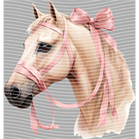 Country music-CU 479